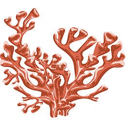 红色珊瑚矢量插画
