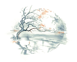 矢量唯美水边