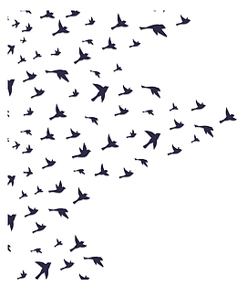 深蓝色飞翔的鸟花纹