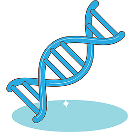 蓝色DNA线条