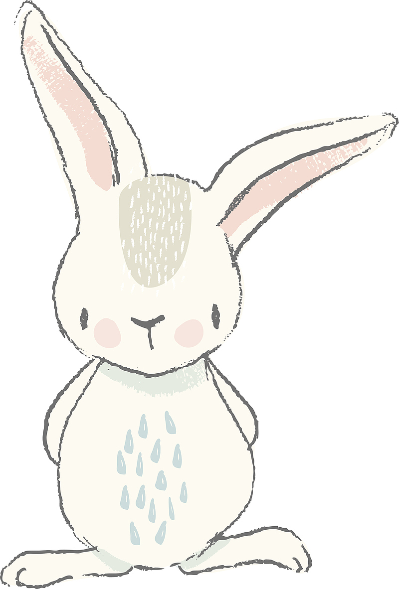 一只非常可爱的兔子