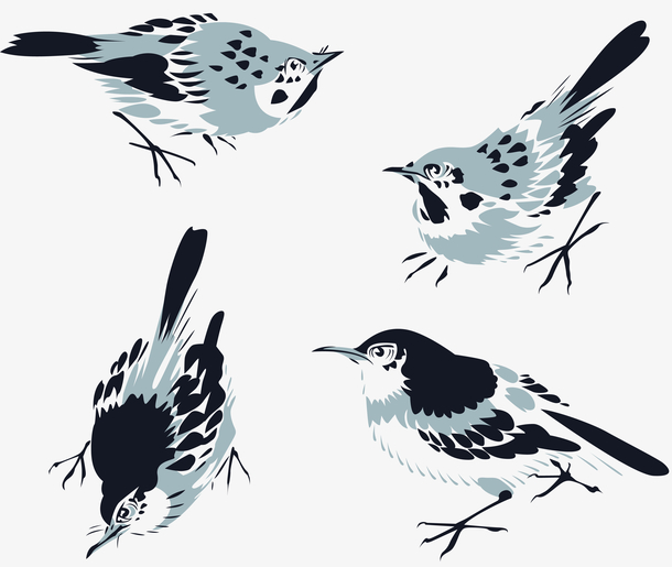 浅蓝黑中国水墨小鸟