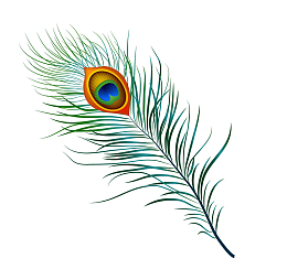孔雀羽毛免抠png装饰图案
