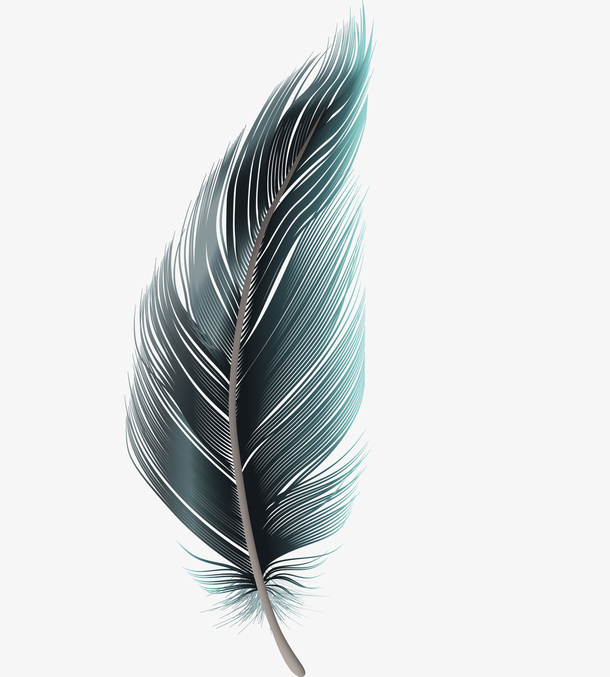 一个矢量彩色羽毛
