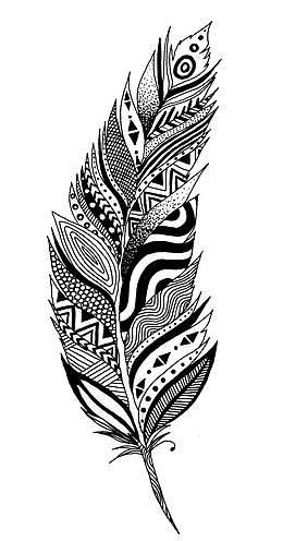 黑白手绘羽毛。