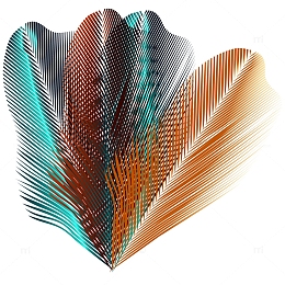 五彩斑斓的羽毛插画