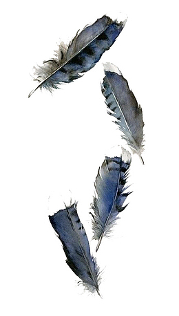 水彩羽毛