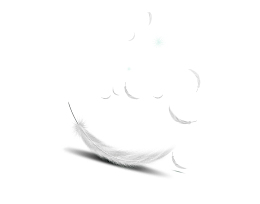 白色清新羽毛装饰图案