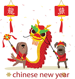 中国风舞龙狗狗海报