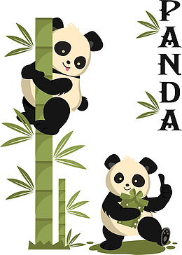 中国国宝的大熊猫