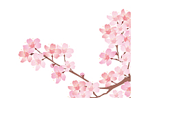 粉色中国风花枝