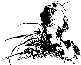 中国水墨画