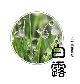 清新文艺白露图标