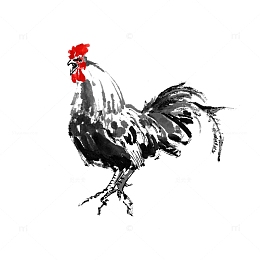 中国画公鸡