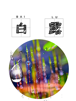 二十四节气白露图标