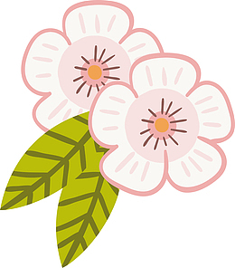 梦幻桃花花瓣桃花