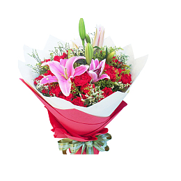 红暖色康乃馨设计素材