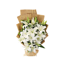 白色百合花设计图片