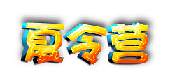 文字