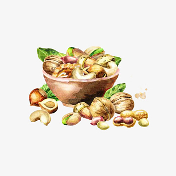 手绘水彩一碗满满的坚果插画免抠