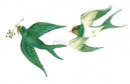 燕子绿色水彩华中国风