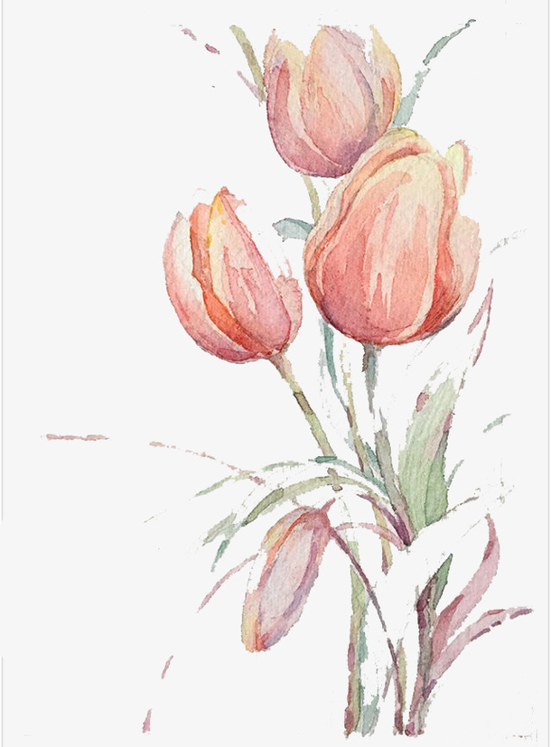 关键词 : 郁金香,水彩,鲜花,卡通,手绘,装饰[声明] 觅元素所有素材为