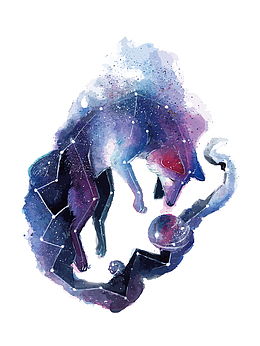 矢量星空狐狸