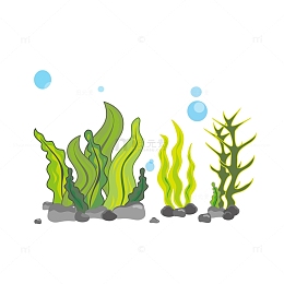 矢量水彩风格珊瑚藻