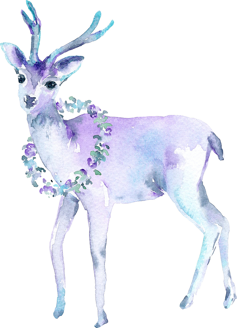 手绘水彩紫色麋鹿