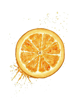 手绘水彩橙子