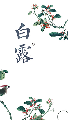 矢量水彩花朵白露
