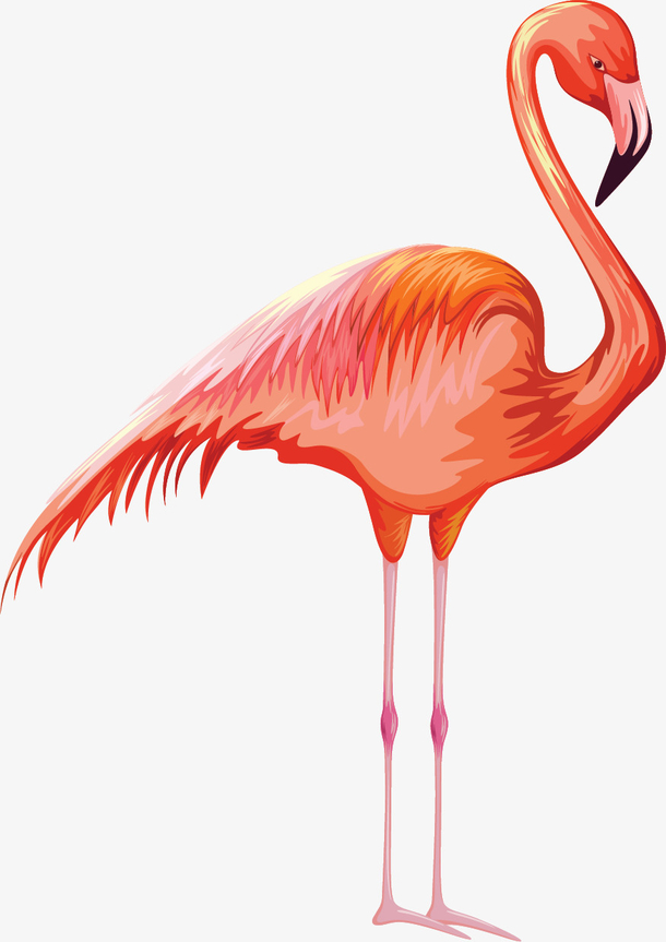 卡通简约手绘火烈鸟装饰图案