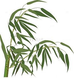 清明节手绘竹子素材