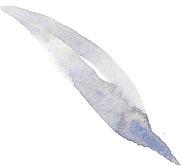 淡紫色水粉装饰叶子素材