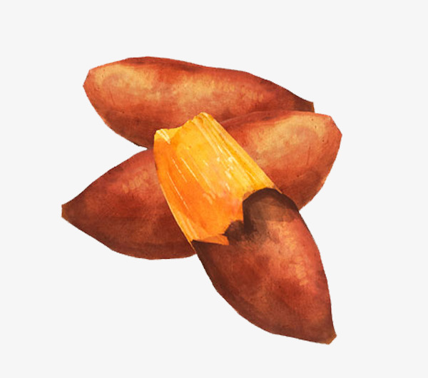 手绘水彩风红薯和剥开的红薯免扣