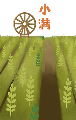 手绘水彩装饰插图小满节气插画