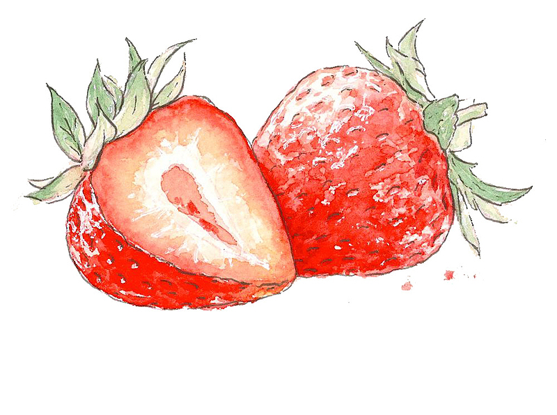 水彩水果插图新鲜草莓插图