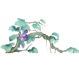 水彩手绘葡萄藤图案