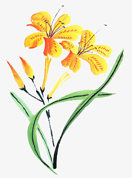 觅元素为您找到49个相关结果