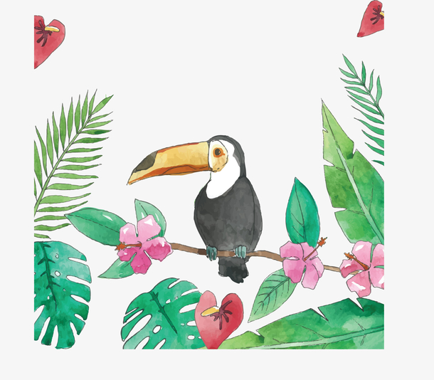 手绘大嘴鸟水彩树叶