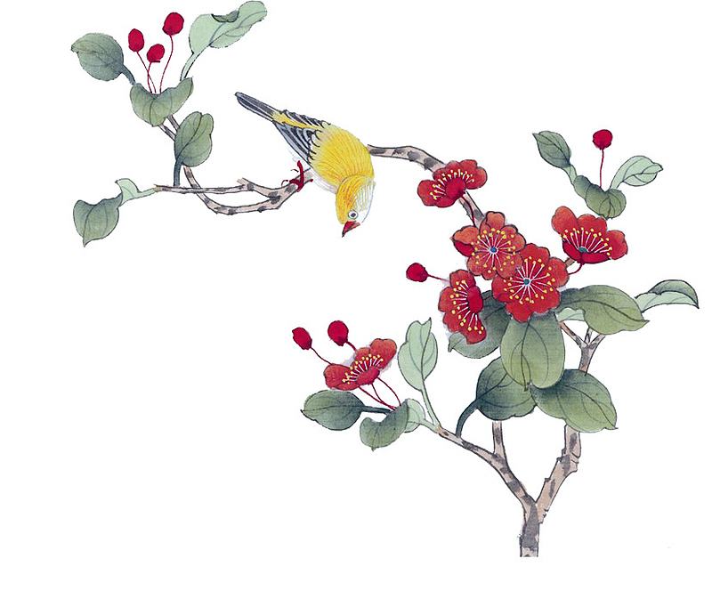 红色花朵上的黄鹂鸟