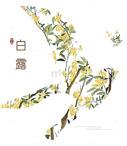 矢量桂花鸟和白露