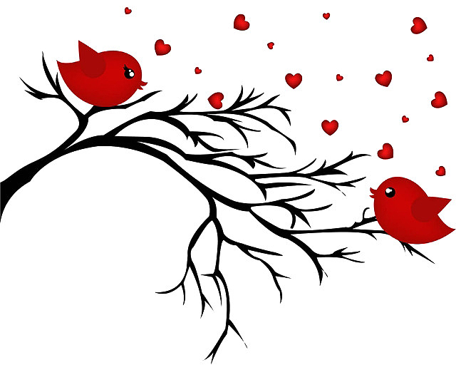 爱情鸟缠绕的树枝