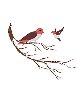 积雪枝头上的鸟妈妈和小鸟