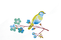 花和小鸟