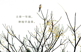 免抠卡通树枝上的鸟