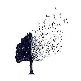 万鸟飞尽成枯树