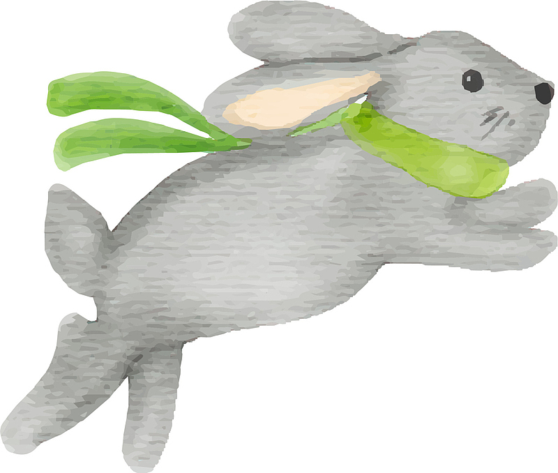 灰色水彩奔跑的兔子