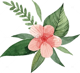 手绘水彩夏季花卉矢量素材