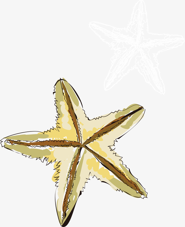 矢量手绘水彩沙滩海星插画素材